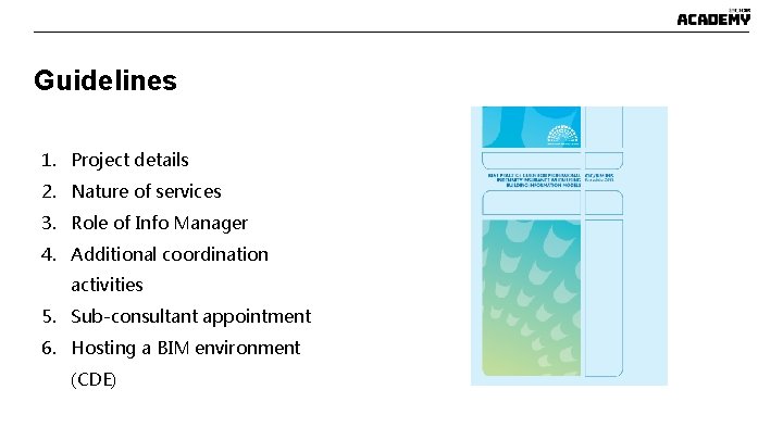 Guidelines 1. Project details 2. Nature of services 3. Role of Info Manager 4. Guidelines 1. Project details 2. Nature of services 3. Role of Info Manager 4.