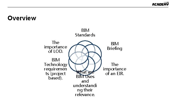 Overview BIM Standards The importance of LOD. BIM Briefing BIM Technology requiremen ts (project Overview BIM Standards The importance of LOD. BIM Briefing BIM Technology requiremen ts (project