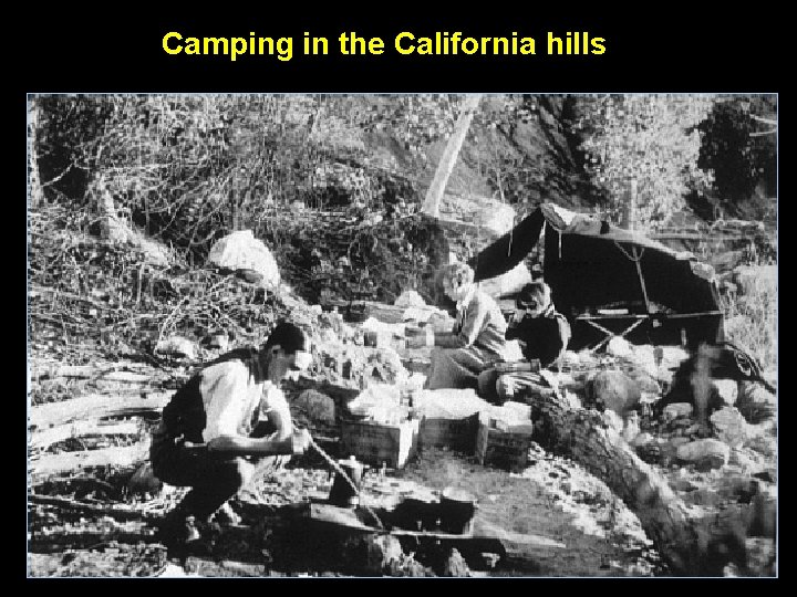 Camping in the California hills 