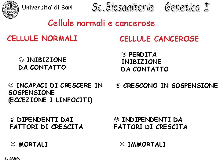 Universita’ di Bari Cellule normali e cancerose CELLULE NORMALI J INIBIZIONE DA CONTATTO CELLULE