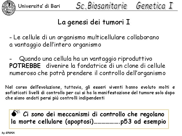 Universita’ di Bari La genesi dei tumori I - Le cellule di un organismo