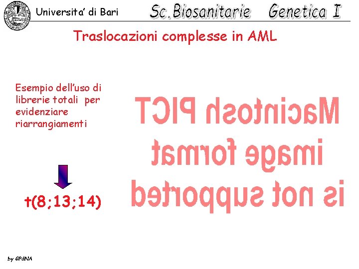 Universita’ di Bari Traslocazioni complesse in AML Esempio dell’uso di librerie totali per evidenziare