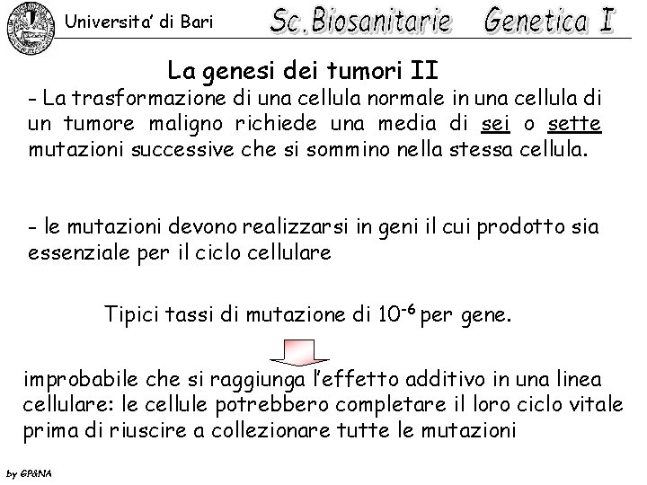 Universita’ di Bari La genesi dei tumori II - La trasformazione di una cellula