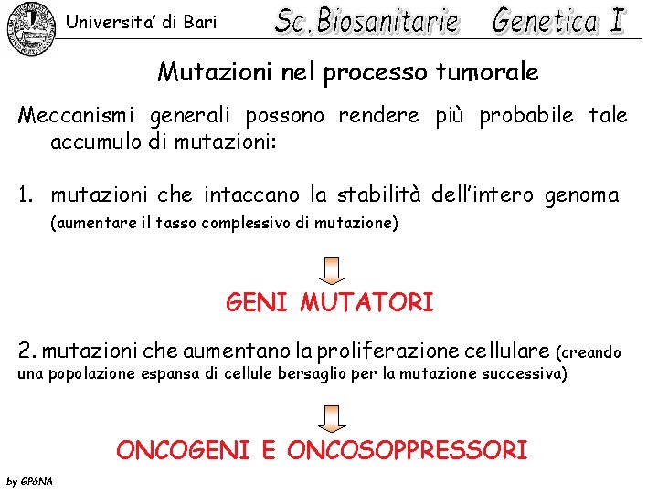 Universita’ di Bari Mutazioni nel processo tumorale Meccanismi generali possono rendere più probabile tale