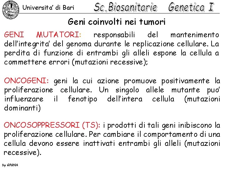 Universita’ di Bari Geni coinvolti nei tumori GENI MUTATORI: responsabili del mantenimento dell’integrita’ del