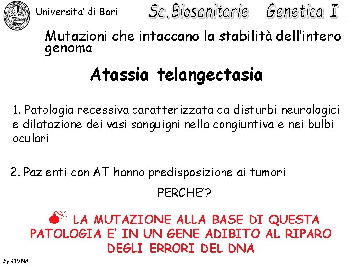 Universita’ di Bari Mutazioni che intaccano la stabilità dell’intero genoma Atassia telangectasia 1. Patologia