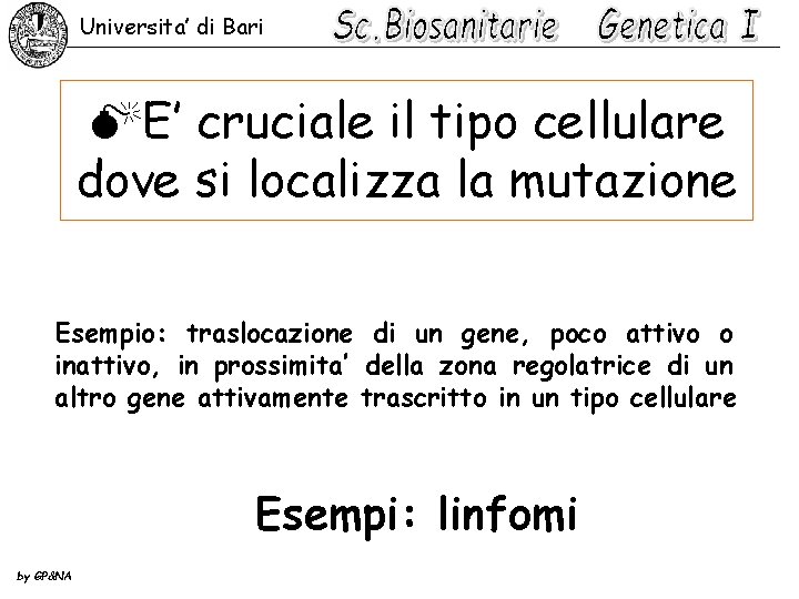 Universita’ di Bari ME’ cruciale il tipo cellulare dove si localizza la mutazione Esempio: