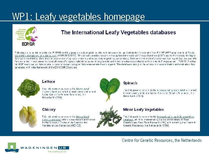 WP 1: Leafy vegetables homepage Centre for Genetic Resources, the Netherlands 