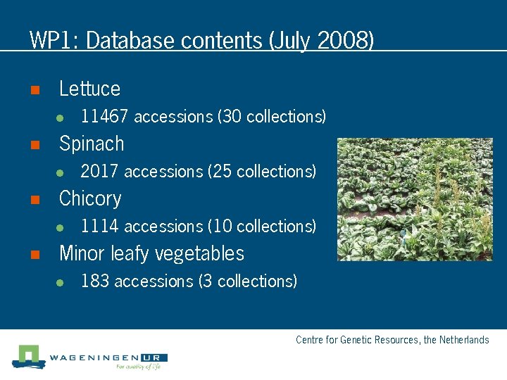 WP 1: Database contents (July 2008) n Lettuce l n Spinach l n 2017