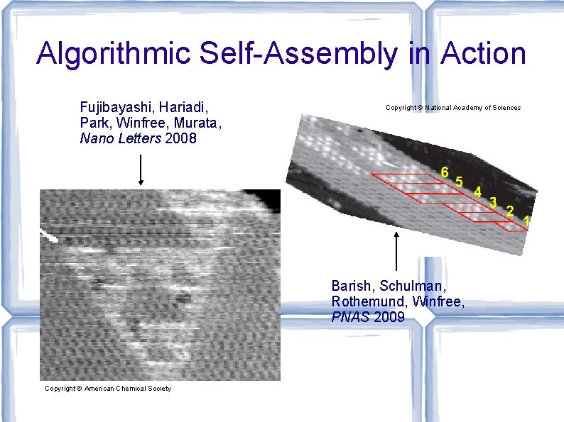 Algorithmic Self-Assembly in Action Fujibayashi, Hariadi, Park, Winfree, Murata, Nano Letters 2008 Copyright ©