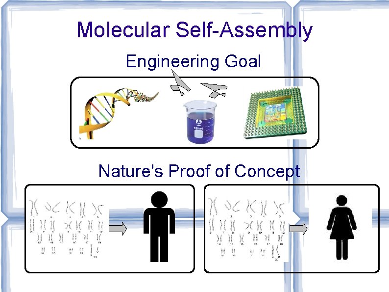 Molecular Self-Assembly Engineering Goal Nature's Proof of Concept 