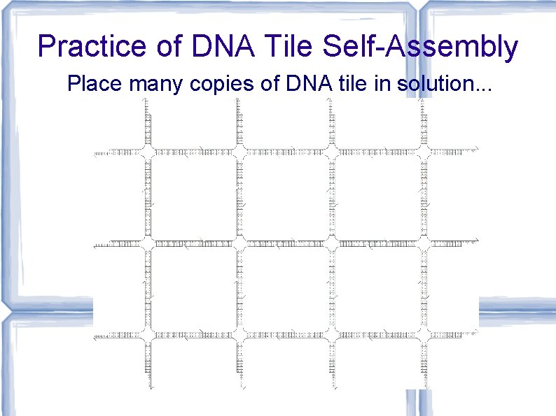 Practice of DNA Tile Self-Assembly Place many copies of DNA tile in solution. .