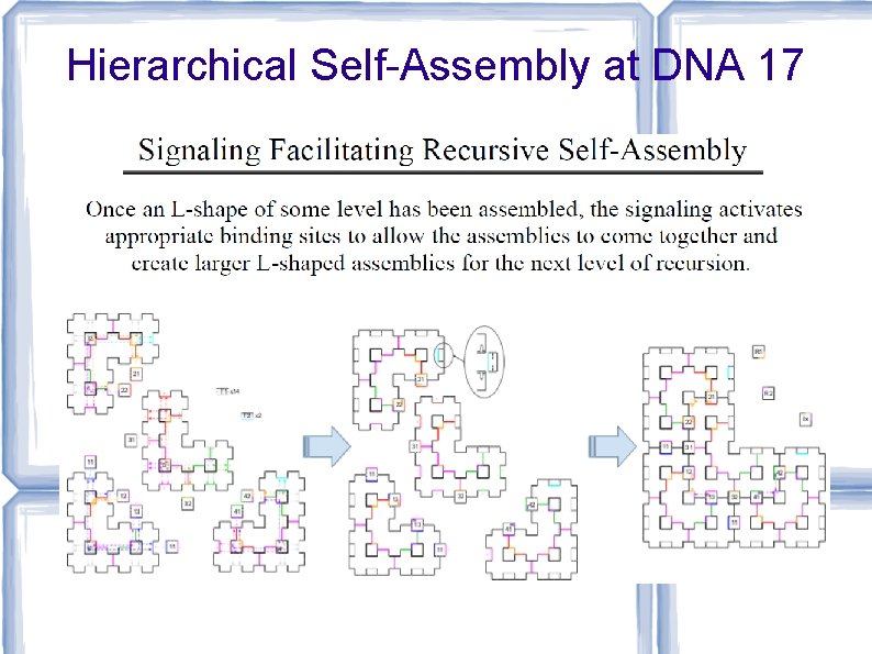 Hierarchical Self-Assembly at DNA 17 