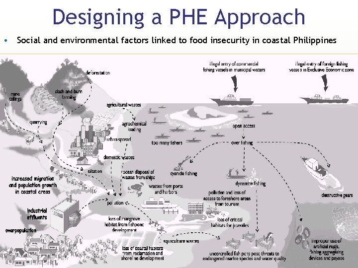 Designing a PHE Approach • Social and environmental factors linked to food insecurity in
