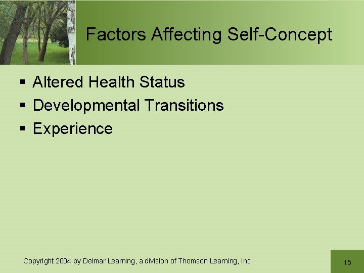 Factors Affecting Self-Concept § Altered Health Status § Developmental Transitions § Experience Copyright 2004 Factors Affecting Self-Concept § Altered Health Status § Developmental Transitions § Experience Copyright 2004