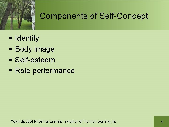 Components of Self-Concept § § Identity Body image Self-esteem Role performance Copyright 2004 by Components of Self-Concept § § Identity Body image Self-esteem Role performance Copyright 2004 by