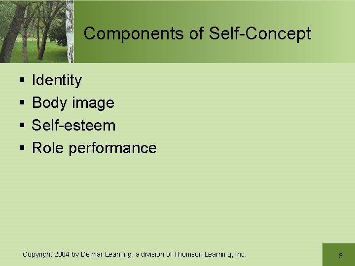 Components of Self-Concept § § Identity Body image Self-esteem Role performance Copyright 2004 by