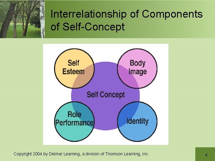 Interrelationship of Components of Self-Concept Copyright 2004 by Delmar Learning, a division of Thomson