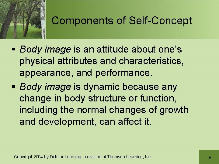 Components of Self-Concept § Body image is an attitude about one’s physical attributes and