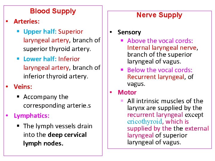 Blood Supply • Arteries: § Upper half: Superior laryngeal artery, branch of superior thyroid