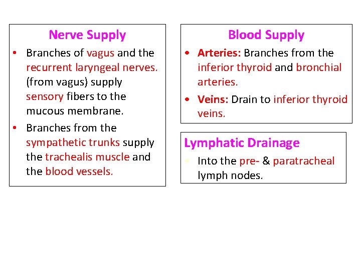 Nerve Supply Blood Supply • Branches of vagus and the recurrent laryngeal nerves. (from