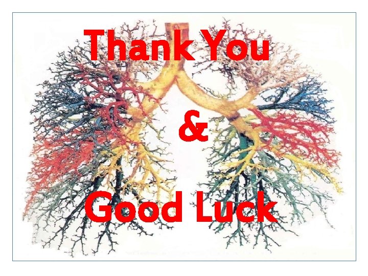 Thank You & Good Luck 