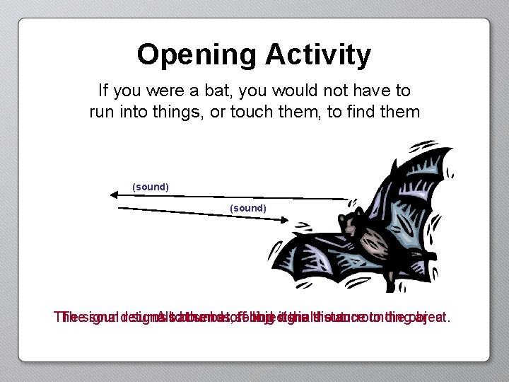 Opening Activity If you were a bat, you would not have to run into