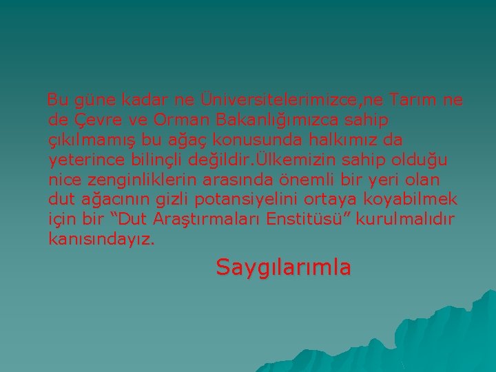  Bu güne kadar ne Üniversitelerimizce, ne Tarım ne de Çevre ve Orman Bakanlığımızca