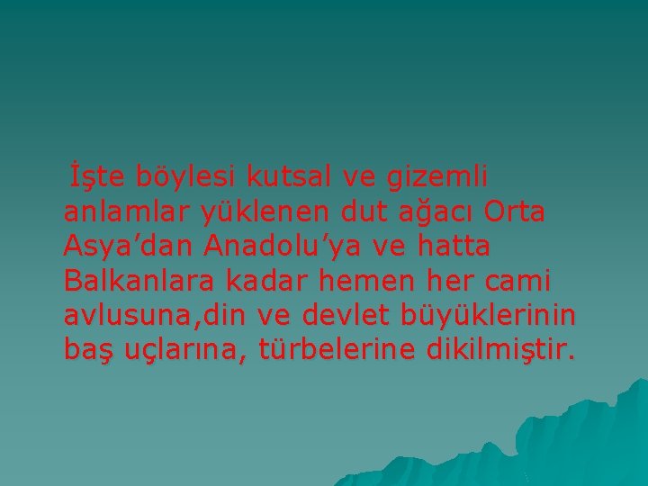  İşte böylesi kutsal ve gizemli anlamlar yüklenen dut ağacı Orta Asya’dan Anadolu’ya ve