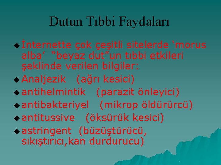 Dutun Tıbbi Faydaları u İnternette çok çeşitli sitelerde ‘morus alba’ “beyaz dut”un tıbbi etkileri