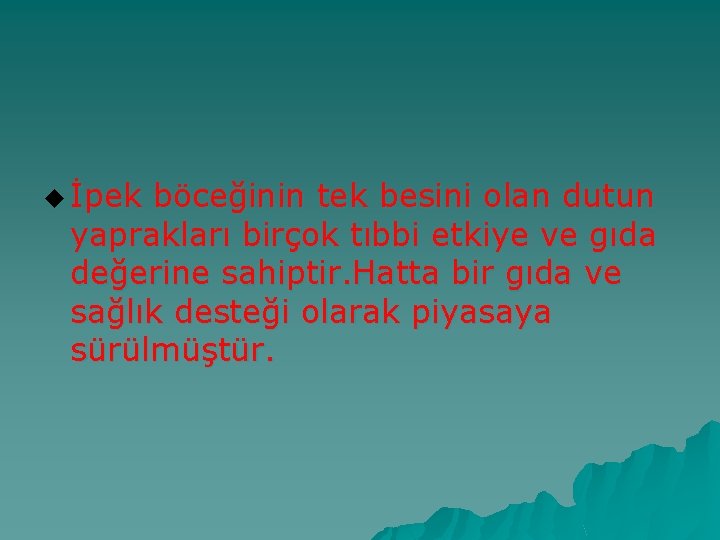 u İpek böceğinin tek besini olan dutun yaprakları birçok tıbbi etkiye ve gıda değerine