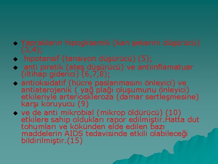 u u u Yaprakların hipoglisemik (kan şekerini düşürücü) (3, 4); hipotansif (tansiyon düşürücü) (5);