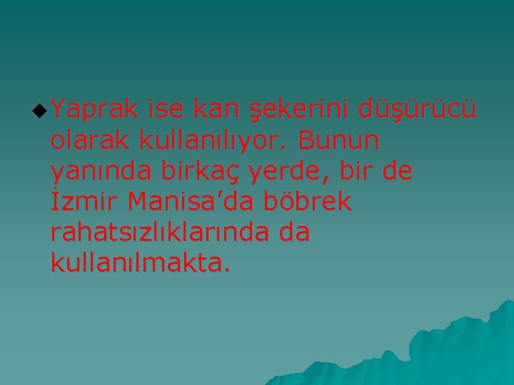 u Yaprak ise kan şekerini düşürücü olarak kullanılıyor. Bunun yanında birkaç yerde, bir de