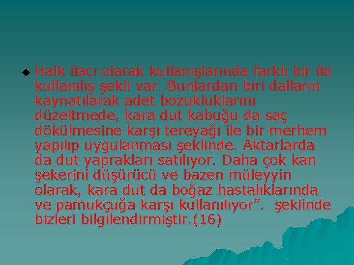 u Halk ilacı olarak kullanışlarında farklı bir iki kullanılış şekli var. Bunlardan biri dalların