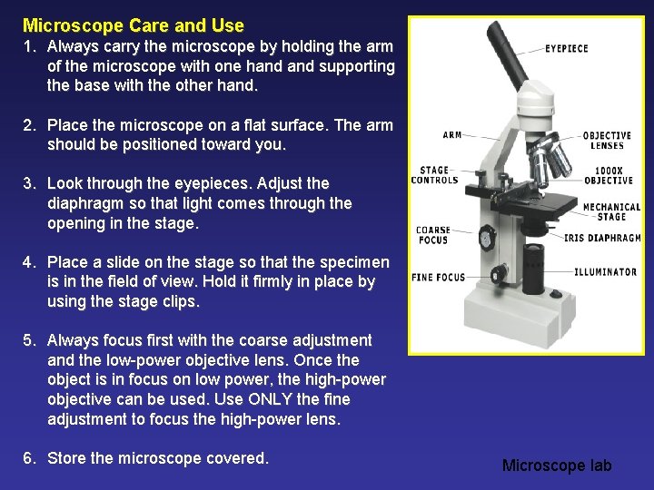 Microscope Care and Use 1. Always carry the microscope by holding the arm of
