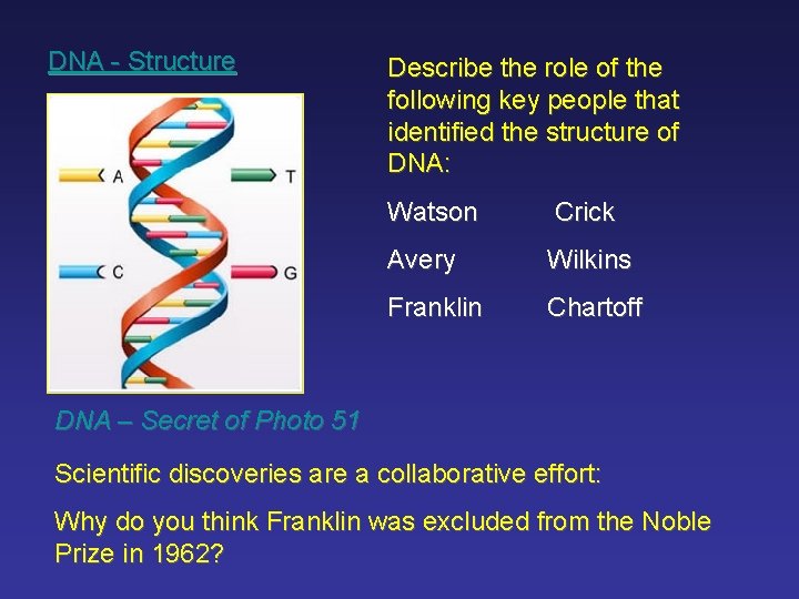 DNA - Structure Describe the role of the following key people that identified the
