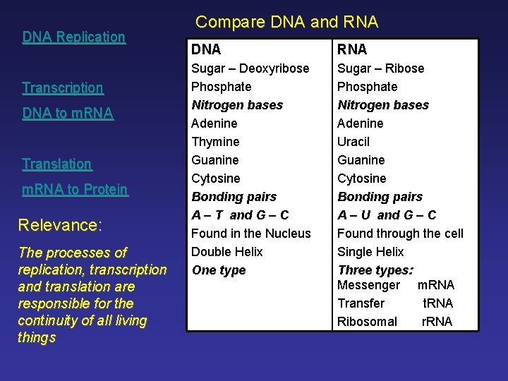DNA Replication Transcription DNA to m. RNA Translation m. RNA to Protein Relevance: The