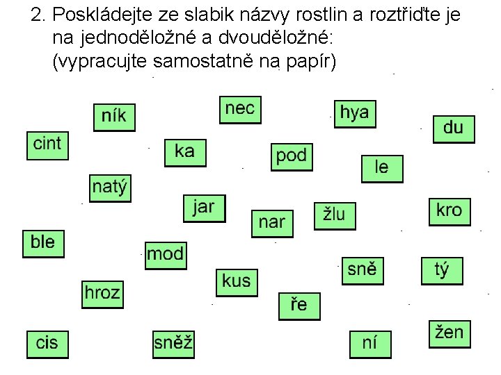 2. Poskládejte ze slabik názvy rostlin a roztřiďte je na jednoděložné a dvouděložné: (vypracujte