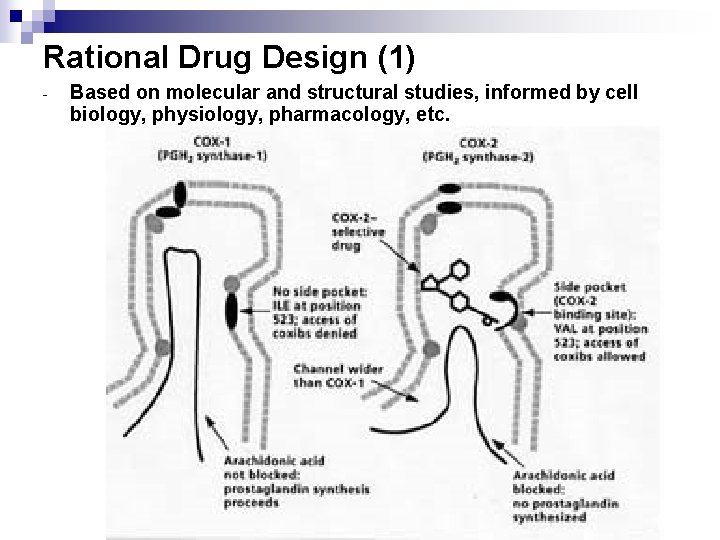 Rational Drug Design (1) - Based on molecular and structural studies, informed by cell