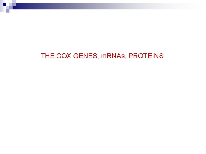 THE COX GENES, m. RNAs, PROTEINS 
