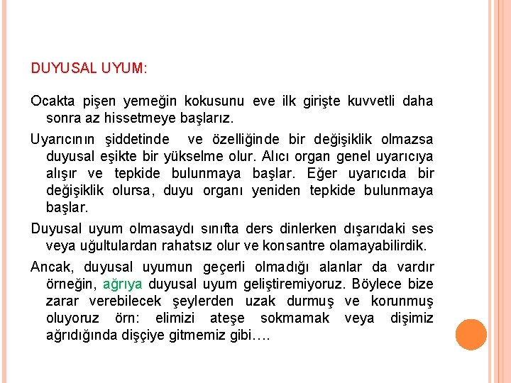 DUYUSAL UYUM: Ocakta pişen yemeğin kokusunu eve ilk girişte kuvvetli daha sonra az hissetmeye