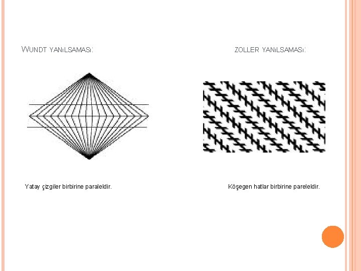 WUNDT YANıLSAMASı: Yatay çizgiler birbirine paraleldir. ZOLLER YANıLSAMASı: Köşegen hatlar birbirine pareleldir. 