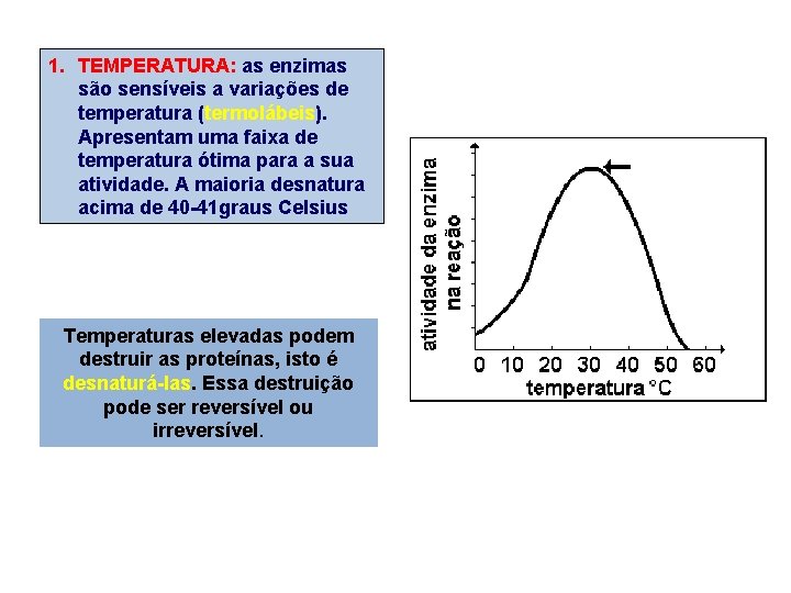 1. TEMPERATURA: as enzimas são sensíveis a variações de temperatura (termolábeis). Apresentam uma faixa