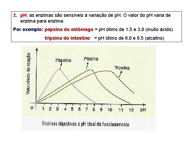 2. p. H: as enzimas são sensíveis à variação de p. H. O valor