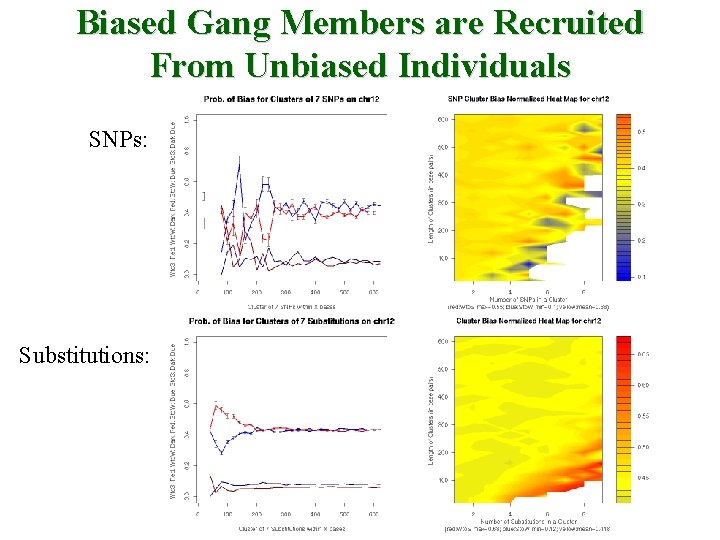 Biased Gang Members are Recruited From Unbiased Individuals SNPs: Substitutions: 