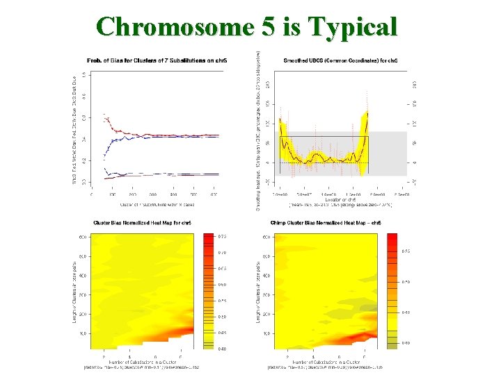 Chromosome 5 is Typical 