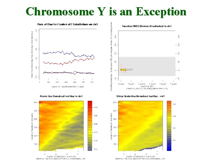 Chromosome Y is an Exception 