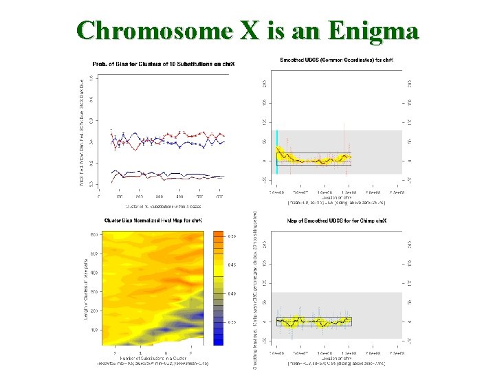 Chromosome X is an Enigma 