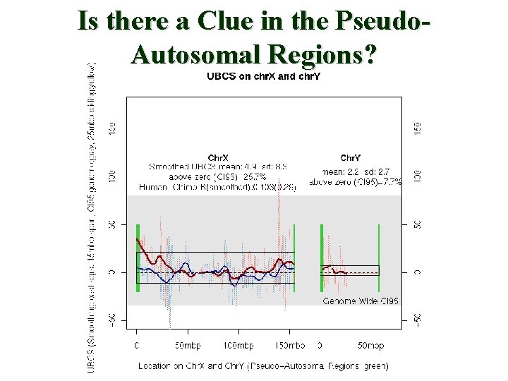 Is there a Clue in the Pseudo. Autosomal Regions? 