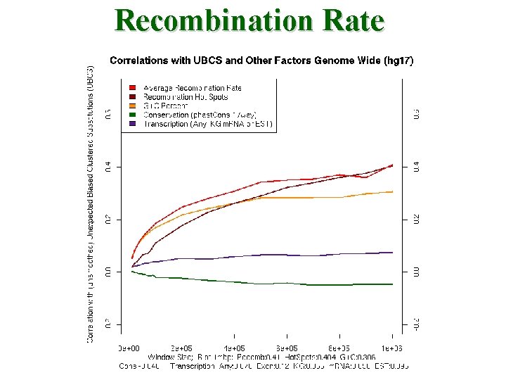 Recombination Rate 